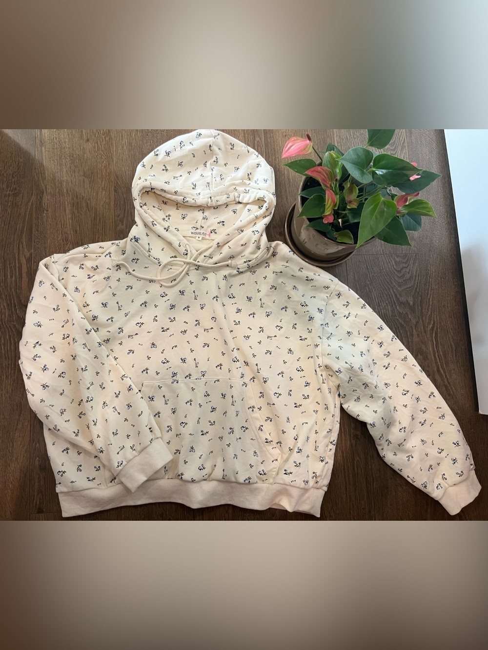 Sweatshirt with Hood